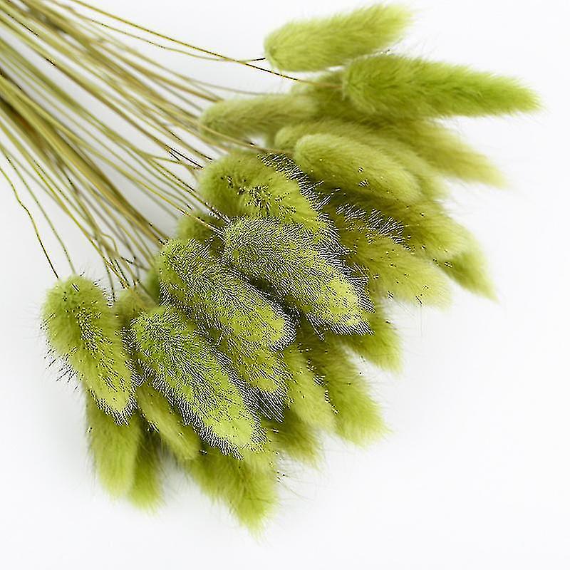 Dried Pampas Grass Flowers Decoration