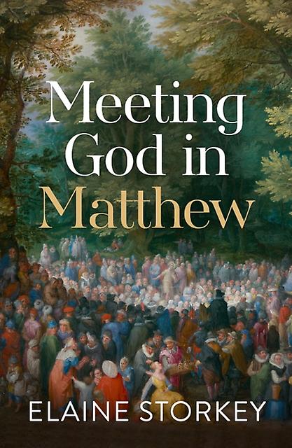 Meeting God In Matthew by Elaine Storkey Paperback Book