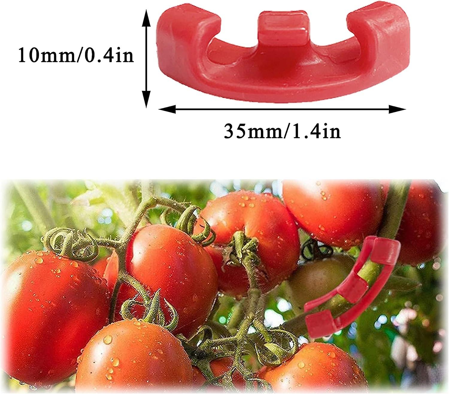 Pflanzenbieger 10 Stück – Verstellbare Astspreizer Für Bonsai, Obstbäume & Garten