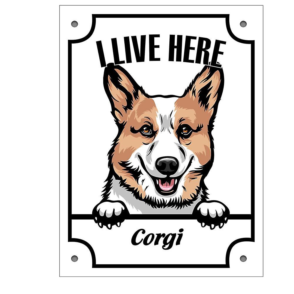 De plaat Corgi Kikande van het tin 