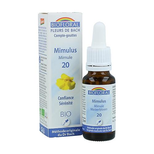 Mimulus 20 ml of floral elixir