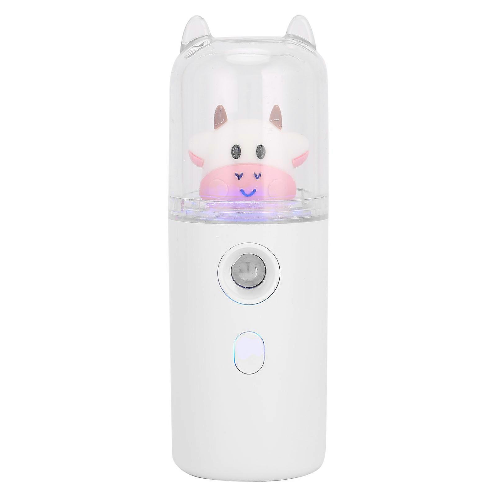 30ml USB Rechargeable Handheld Mist Sprayer Face Moisturizing Hydrating Mist Sprayer