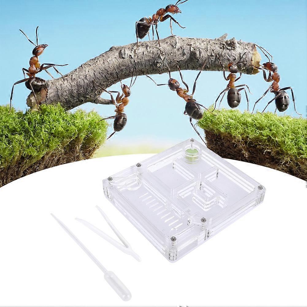 Acrylic Ant Breeding House Transparent Formicarium Display Box