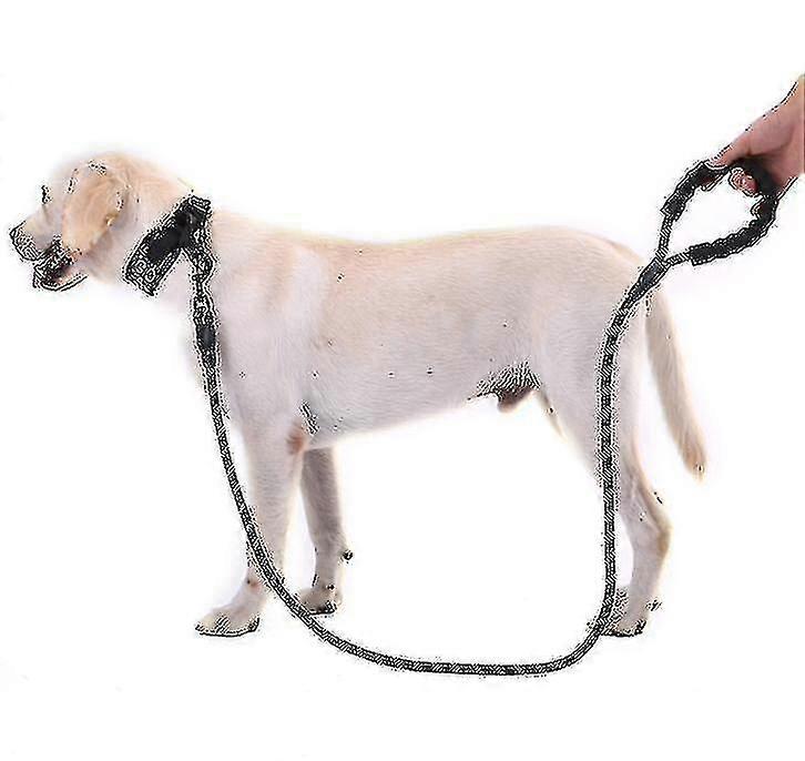 Round Rope Dog Leash