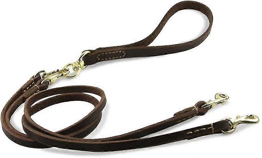 Correa de cuero doble para perros con asa desmontable