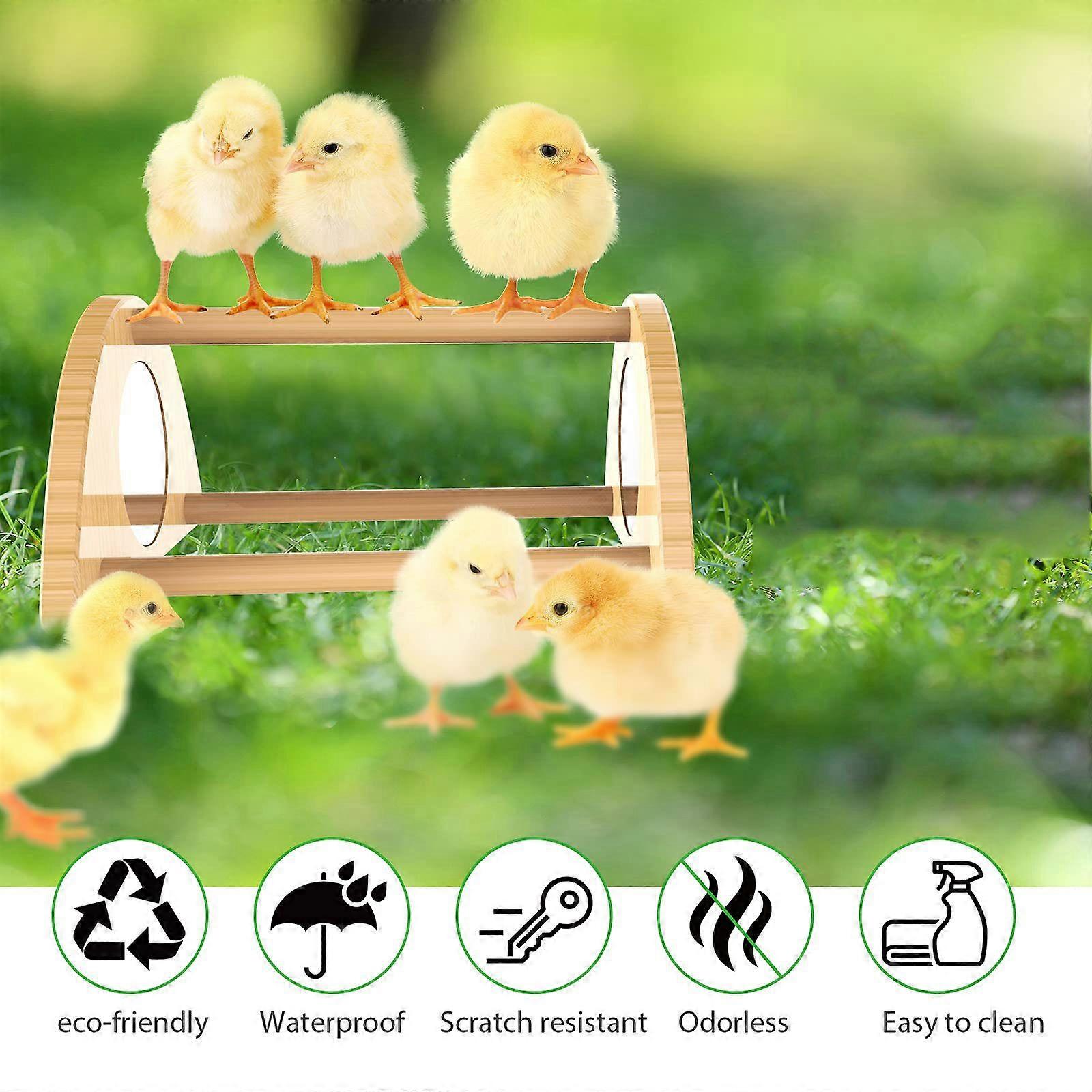 Mini Chick With Mirror Strong Roosting Bar For Coop And Brooder Training For Baby Chicks Easy To Clean Fun Toys For Chick