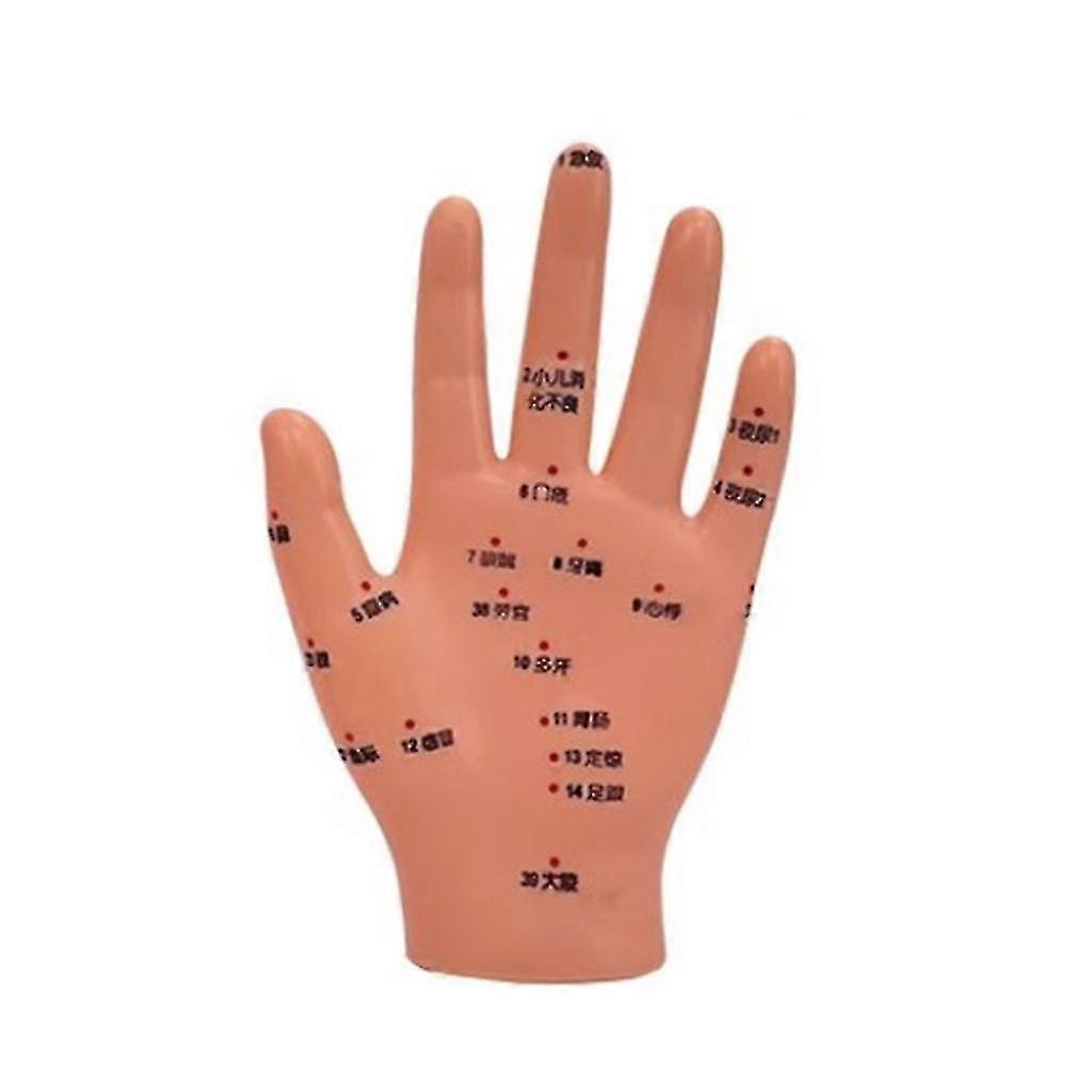 Acupuncture Model for TCM Practice - Hand, Foot, Ear Acupuncture Points Demonstration Tool