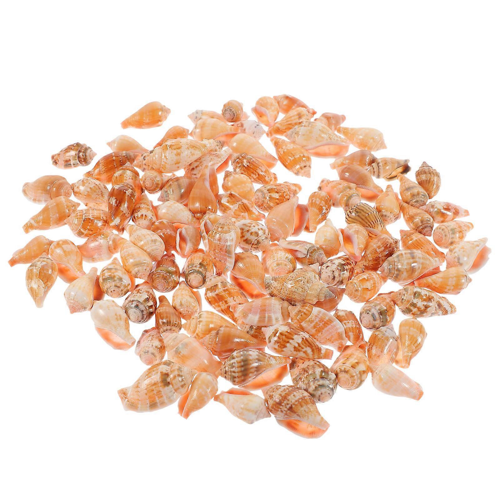 Natural Sea Shell Conch Decorations – 100pcs Tiny Beach Themed Shells for Aquarium, Crafting, DIY Jewelry, Home Accent, Fish Tank Ornaments, Garden &