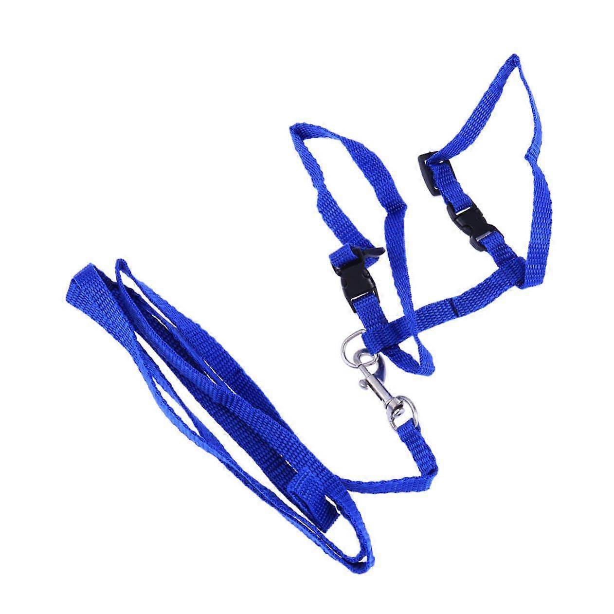 Adjustable Pet Accessories with Leash for EscapeProof Cat Harness, Nylon for Small and Large Pets