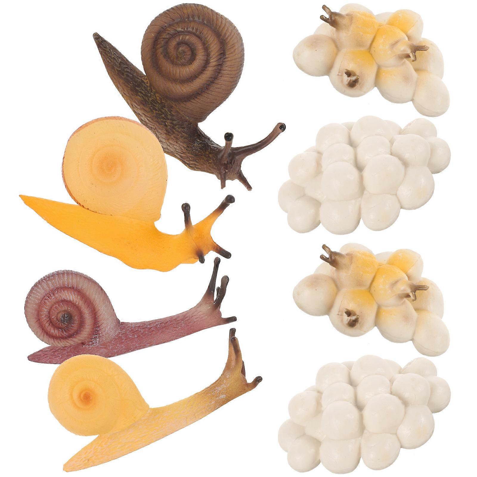 2 Sets Snail Growth Cycle Models Educational Toys Cartoon Snail Growth Model