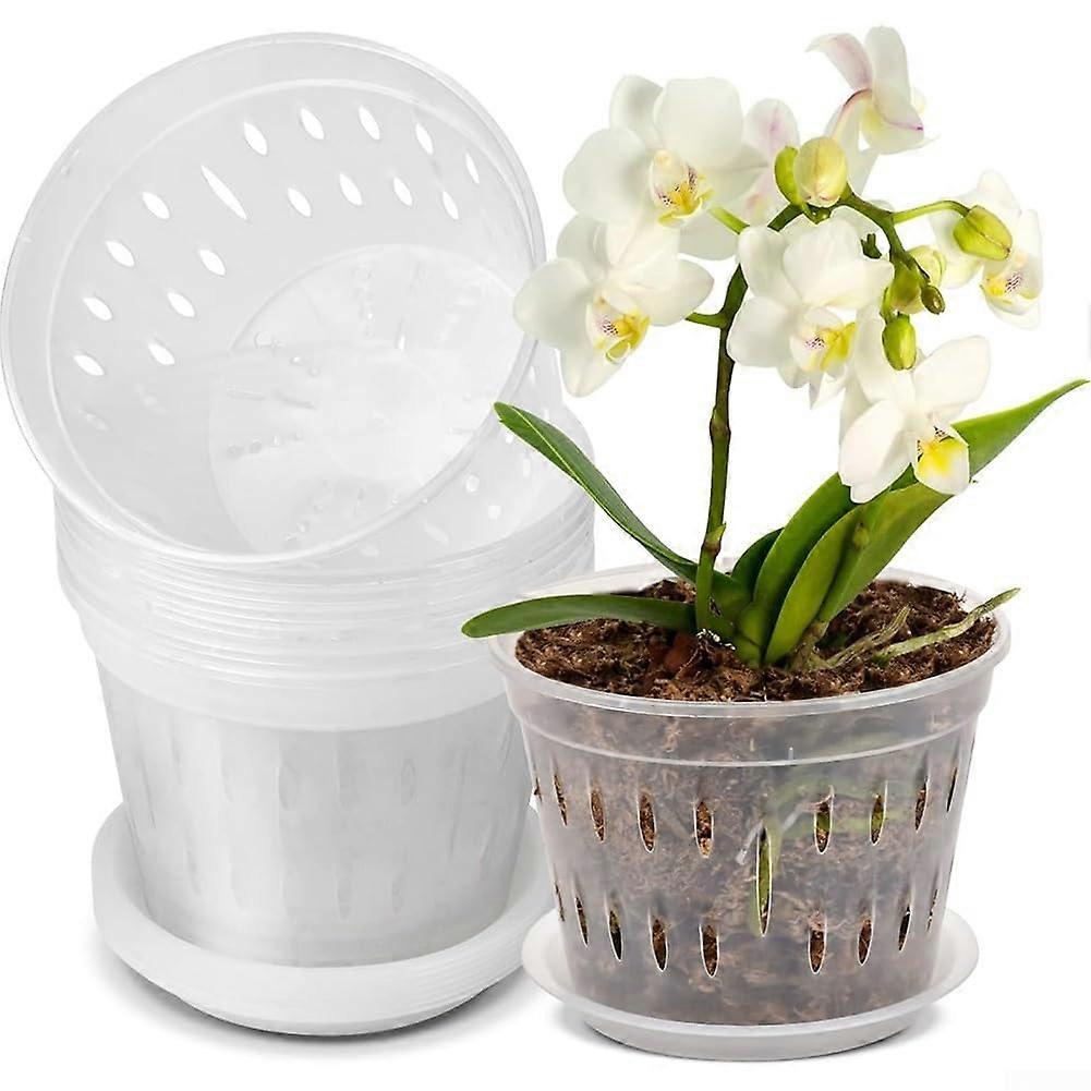 A comprehensive garden solution for orchids and more, featuring six transparent flower pots and eighteen saucers (125).
