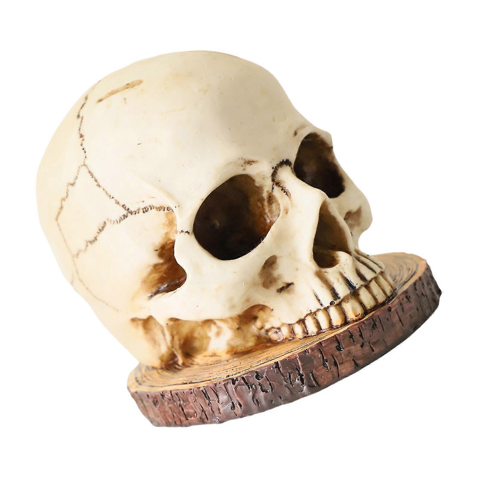 Durable Resins Skull Shape Utensils Holder Blade Block Mysterious Desktop Accent Ideal For Halloween And Everyday Use Multicolor