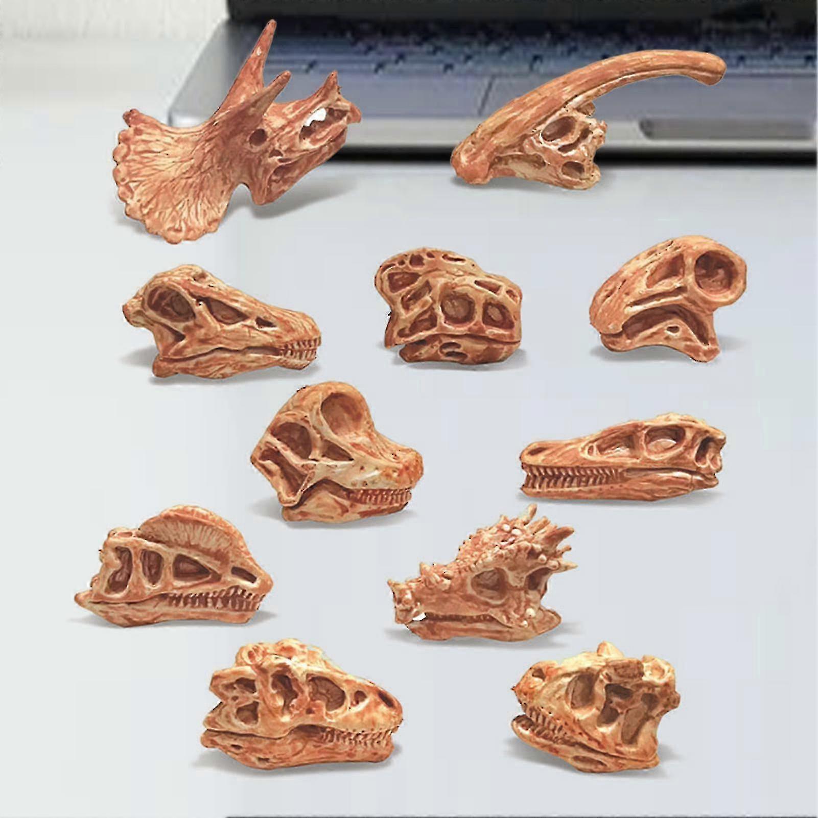 11Pcs/Set Dinosaur Fossil Model High Simulation Hand-painted Vivid Carnotaurus Dinosaur Skull Fossil Figurine for Kids