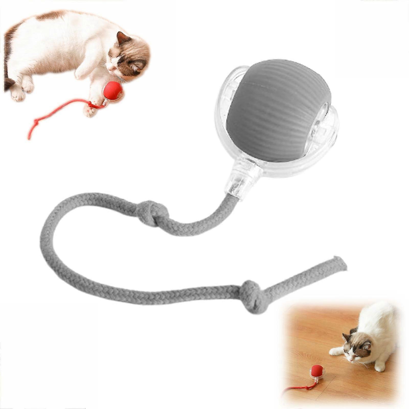 Interactive Pet Toy with Smart Motion Sensor, 360° Automatic Rolling Ball for Dogs and Cats