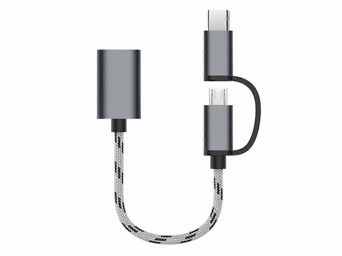 USB OTG Adapter Interface Converter for Mobile Devices, Gray