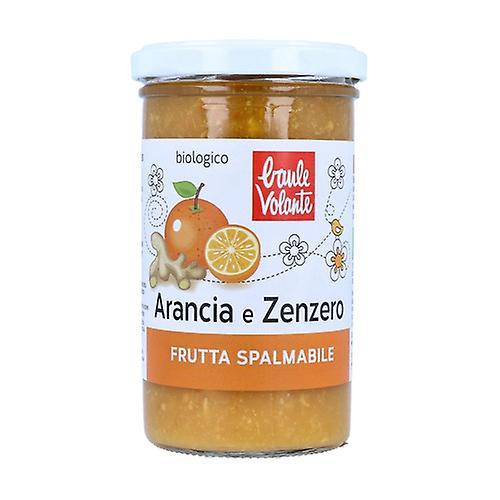 Orangen-Ingwer-Aufstrich Früchte 280 g