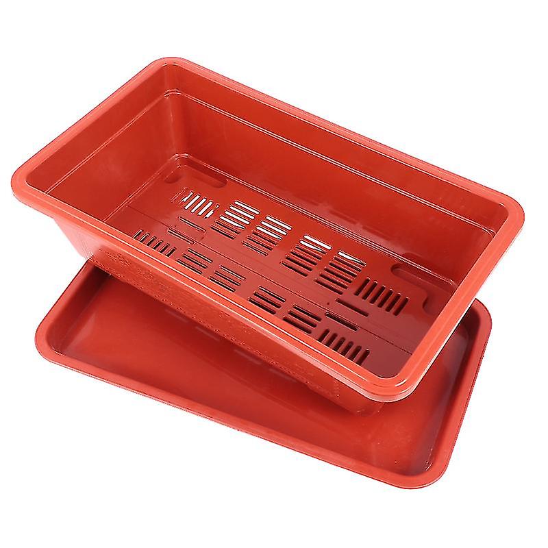 1pcs Plant Growing Box