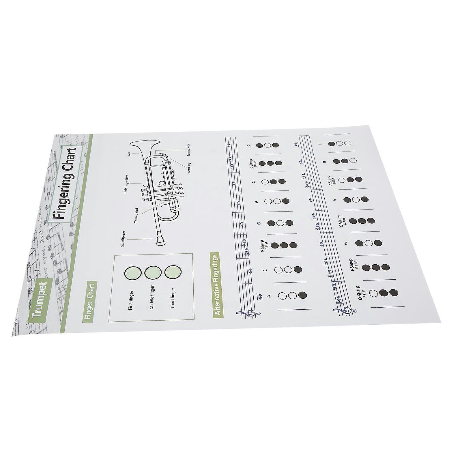 Trumpet Chord Chart Fingering Note Music Instrument Reference Guide for ...