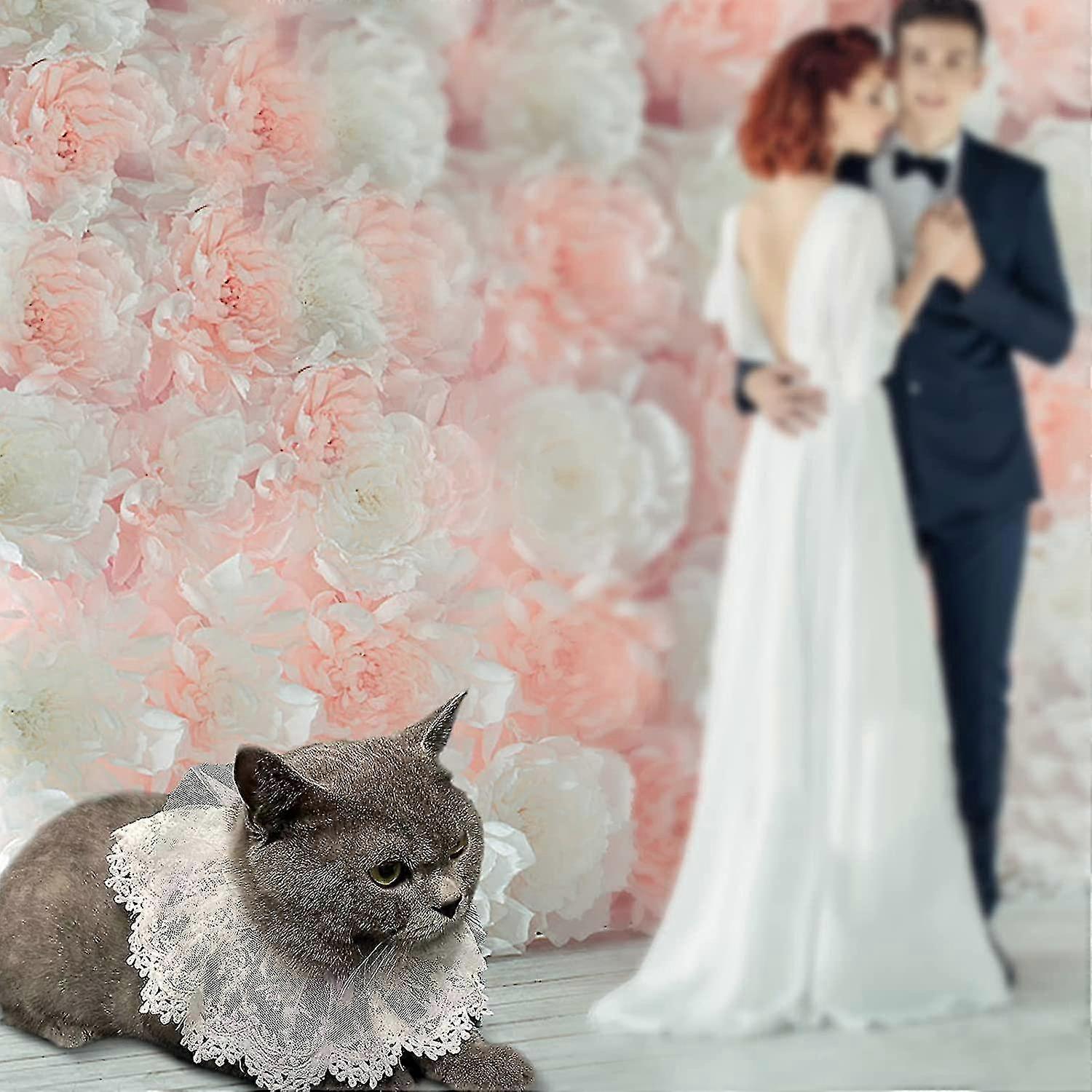 Katzenkostüm Prinzessin – 2-teiliges Set Mit Krone & Halstuch, Rosa Spitze, Für Katzen & Kleine Hunde