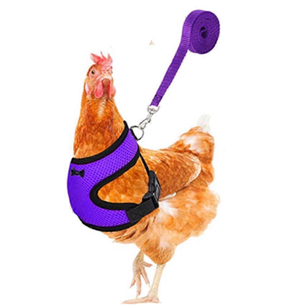 Fashion Chicken Duck Vest Hen Belt Pet Harness Matching Collars Bow