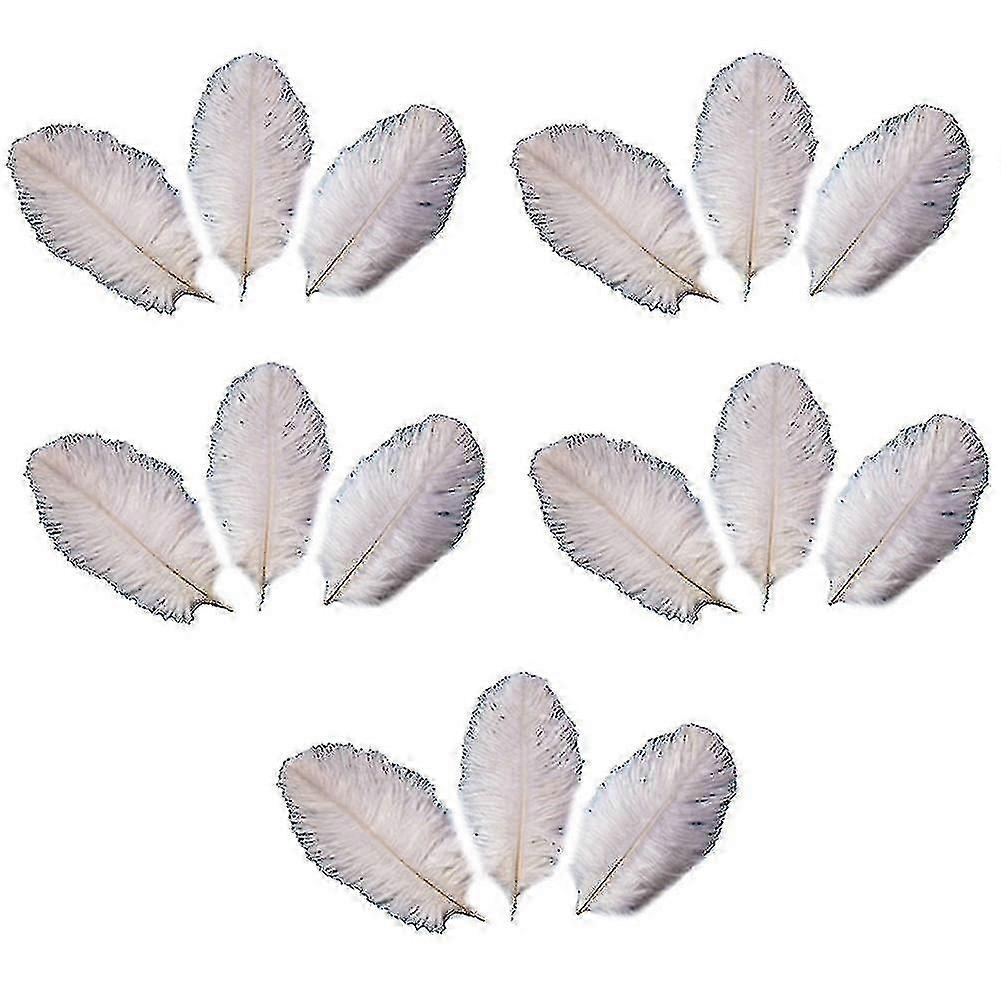 15 Stuks Witte Struisvogelveren voor Bruiloft Decor & Kleding