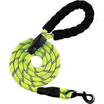 Padded Handle, Heavy Duty Double Hooks, Dog Training Leash, Long Dog Leash for Small and Large Dogs