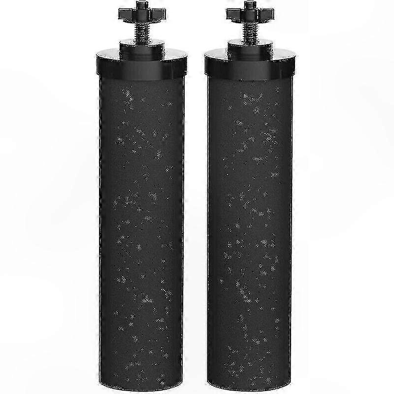 2-Pack Natural Black Water Purification Filter Elements for Gravity Systems