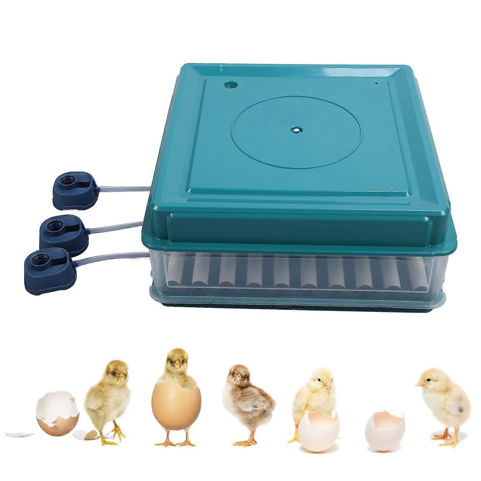 Automatic Egg Incubator 64 Eggs 22cm Green LED US Plug 110V