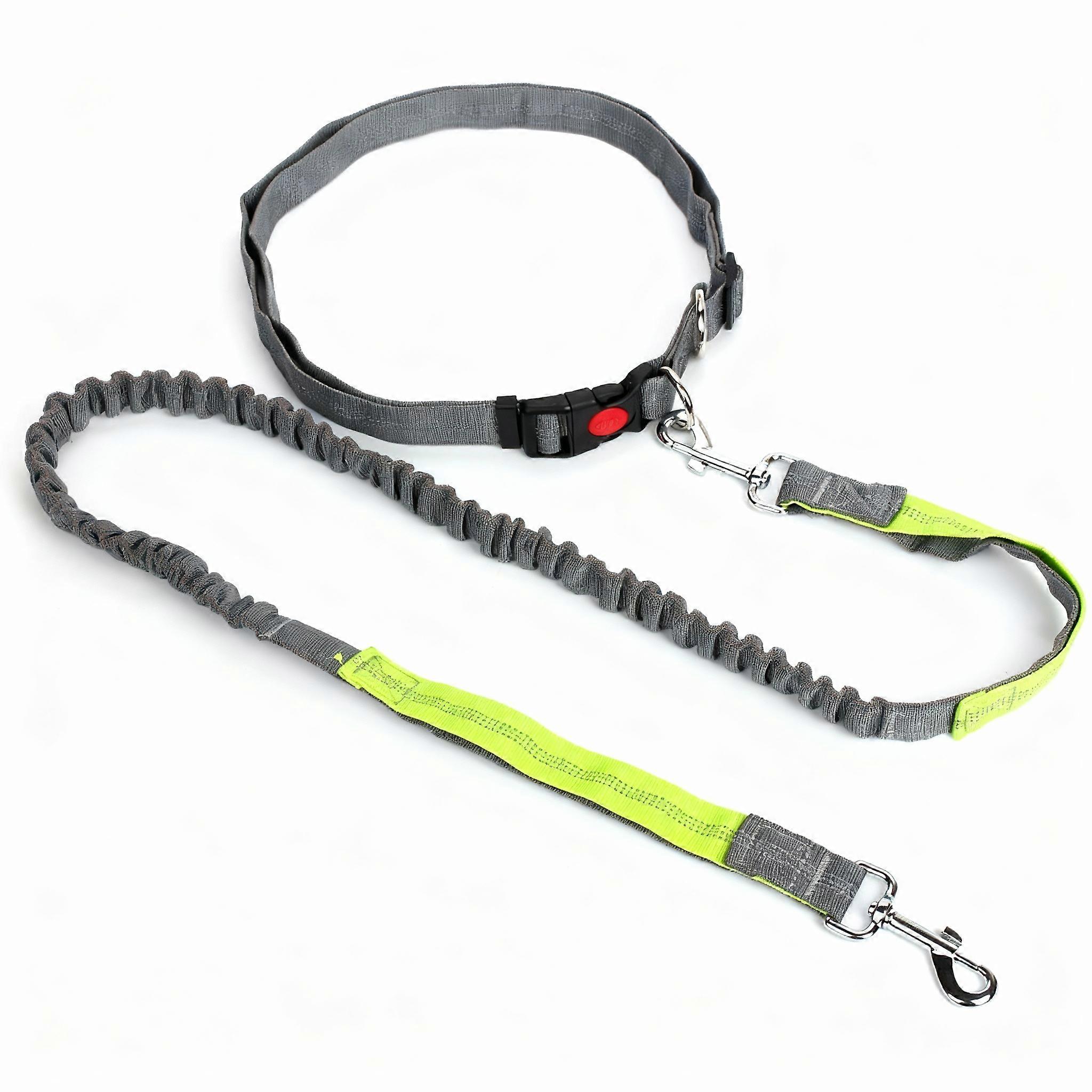 Explosive Proof Elastic Nylon Pet Running Leash for Dogs Adjustable Pet Training Lead