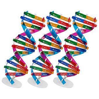 Kit de Modelagem de DNA DIY para Biologia - Conjunto de Aprendizagem de Dupla Hélice com 3 Peças