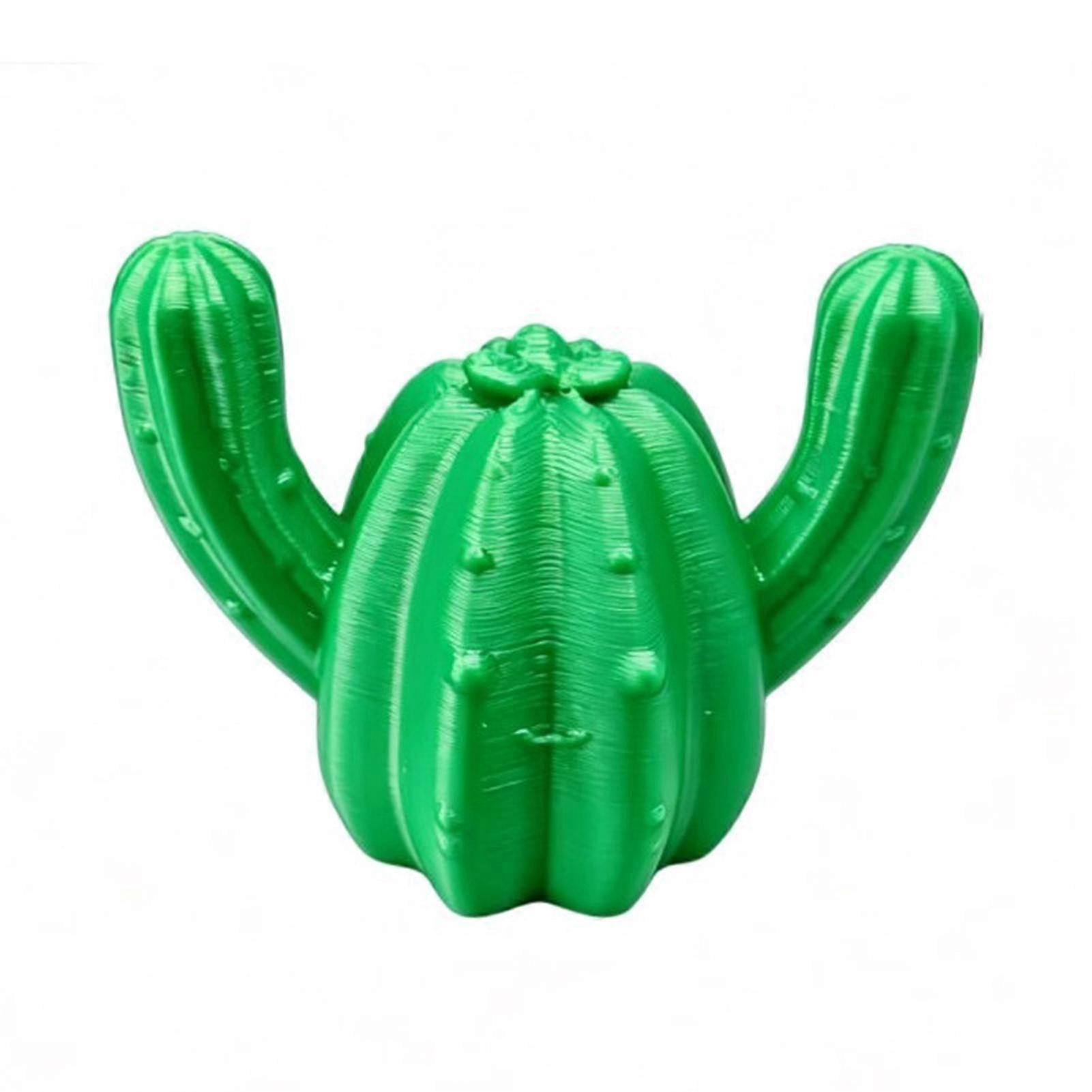Creative Cactus Photo Holder PLA