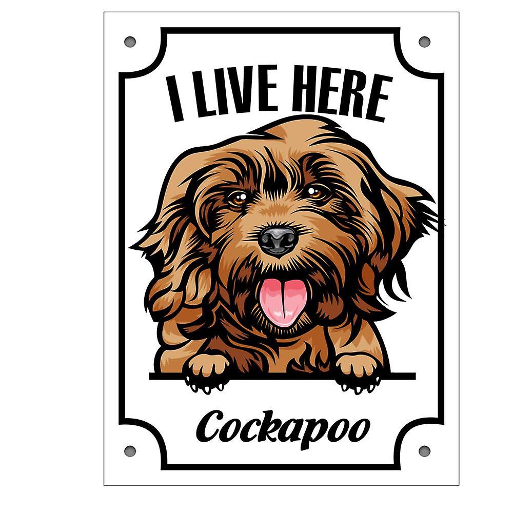De plaat van het tin Cockapoo Kikande hondteken 