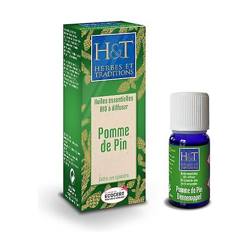 Pine cone 10 ml of essential oil