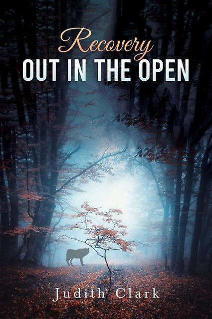 Recovery Out In The Open by Judith Clark Paperback