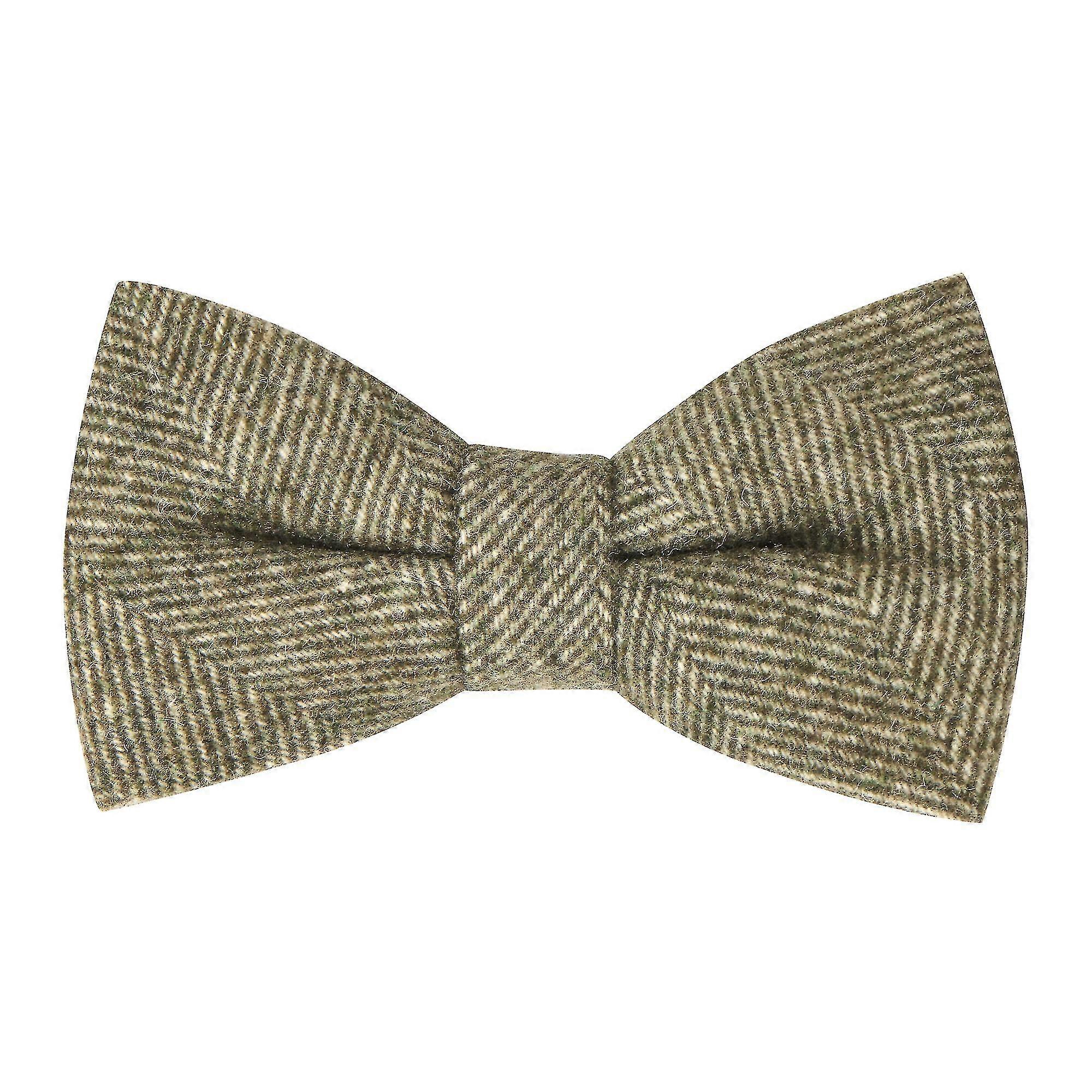 Pajarita de espiga verde helecho