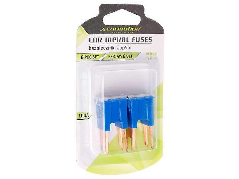 JAPVAL zekeringen TYPE M 100A, 2 stuks.