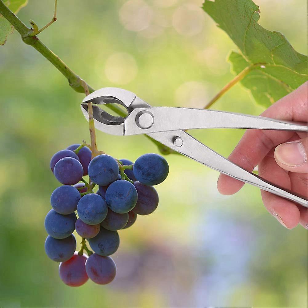 Multifunctional Pruning Shears for Bonsai and Garden Plants, Stainless Steel Blade, Ergonomic Handle, Sharp Cutting Tool