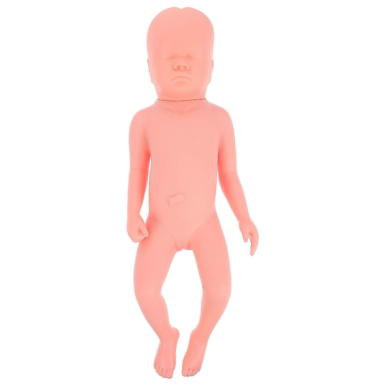 Plastic Fetus Model Neonatal Umbilical Cord Care Educational Training Aid For Students And Educators Crafted From PVC In Pink With 1Pcs