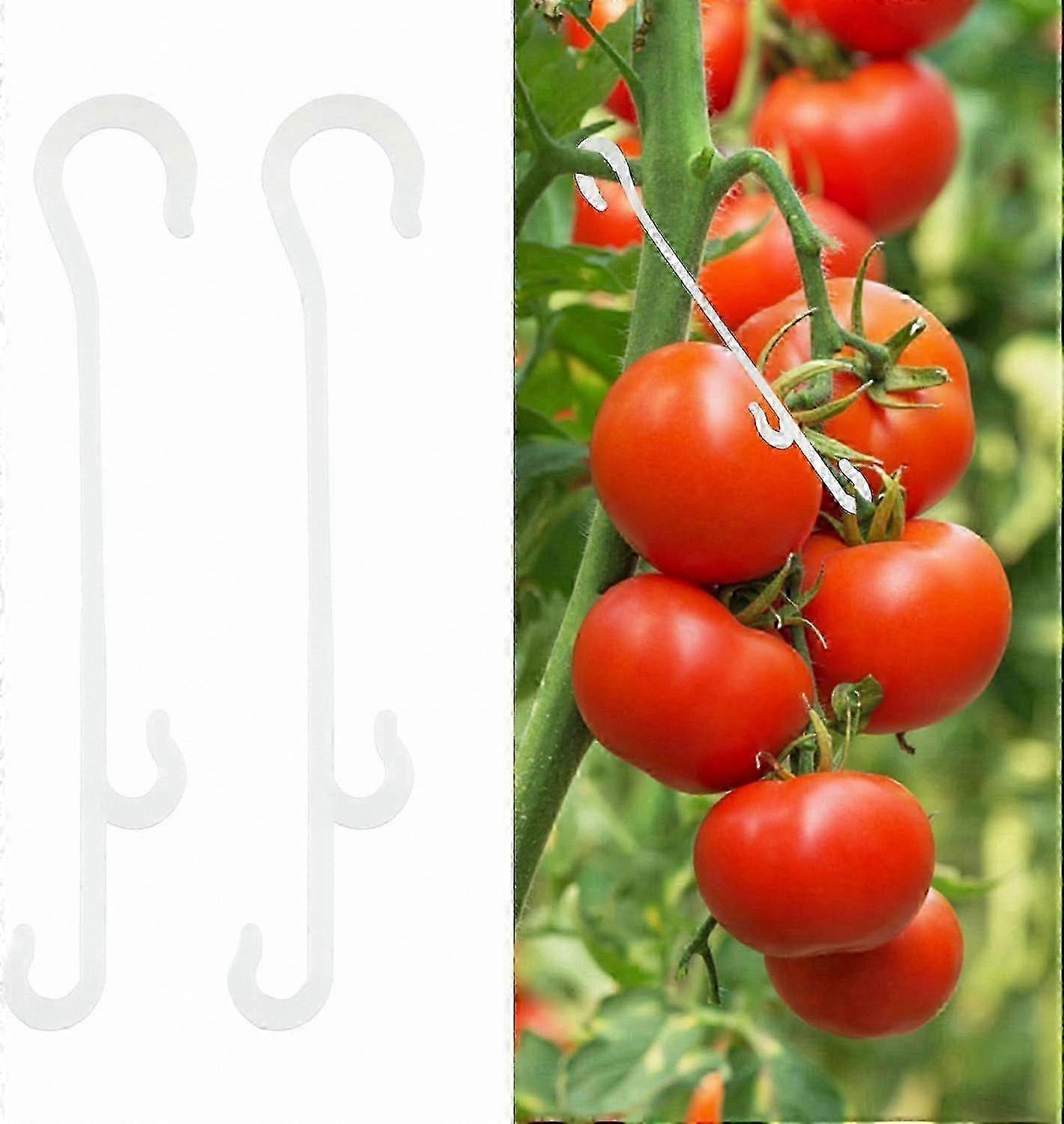 100 Pcs J-Hook Tomato Support Clips for Vegetable Plant Staking hwy