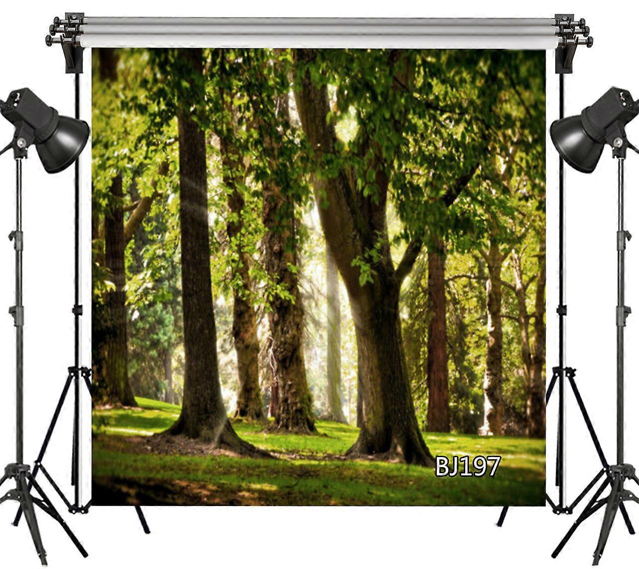 Sunny Forest Backdrop Natural Scenery Outdoors Photo Background Studio Props