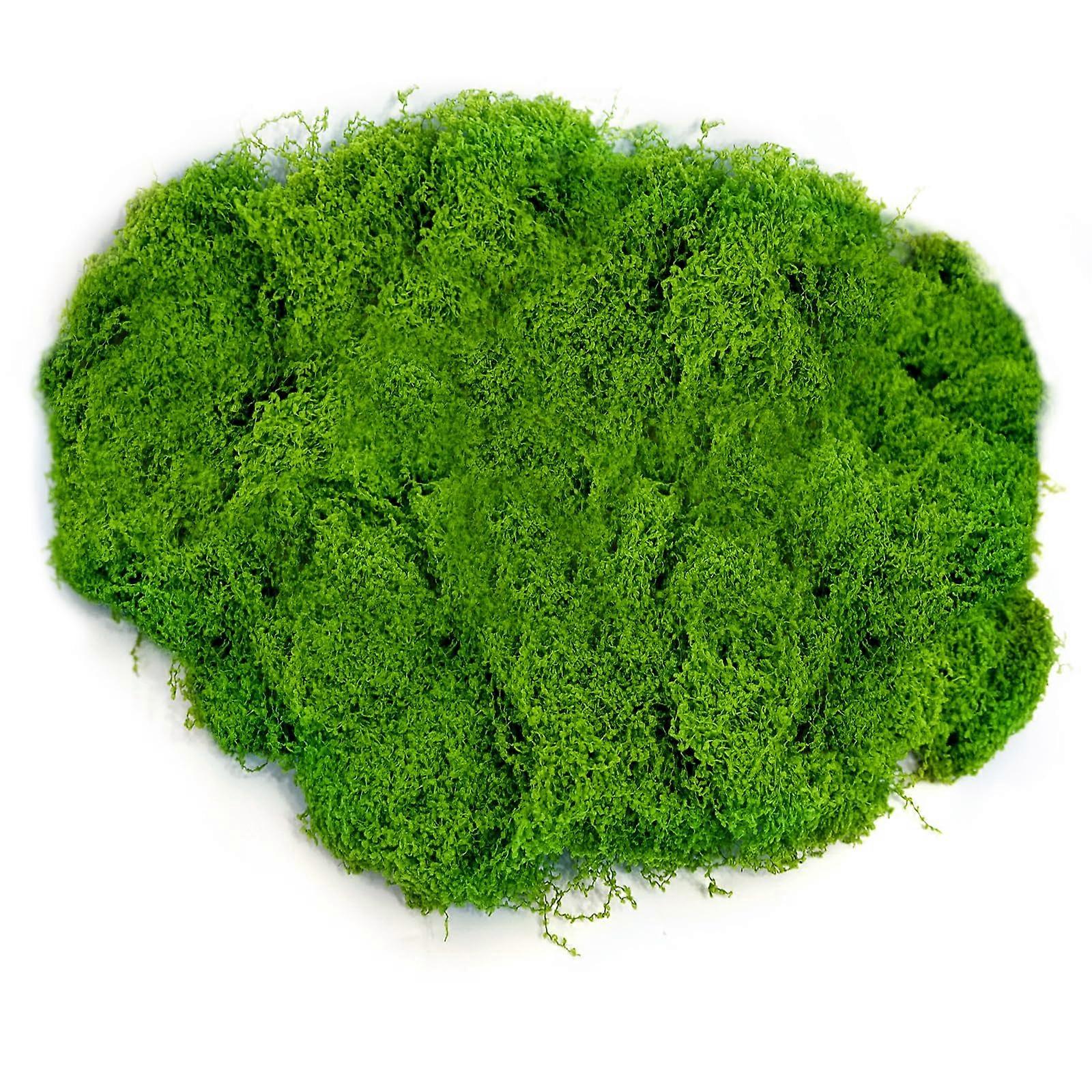Artificial Moss for Crafts and Decoration, Realistic Green, Durable and Reusable, 100g
