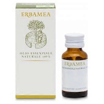 Sweet Fennel Essential Oil 10 ml of essential oil