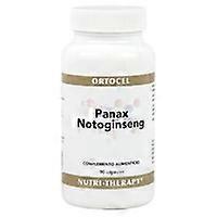 Panax Notoginseng (cognitive function) 90 capsules