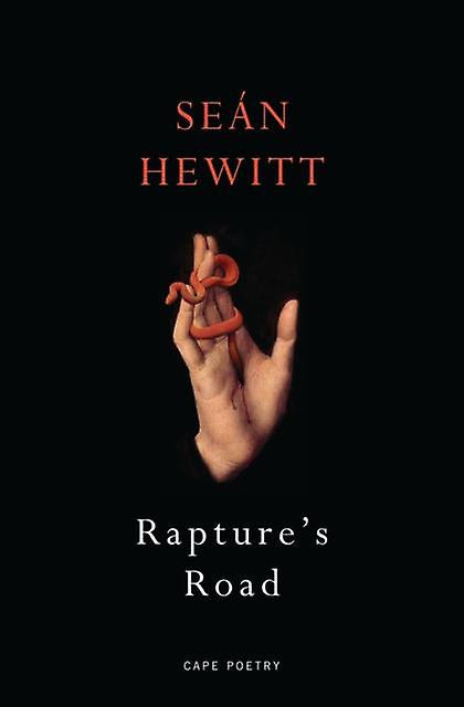 Raptures Road by Sean Hewitt Paperback