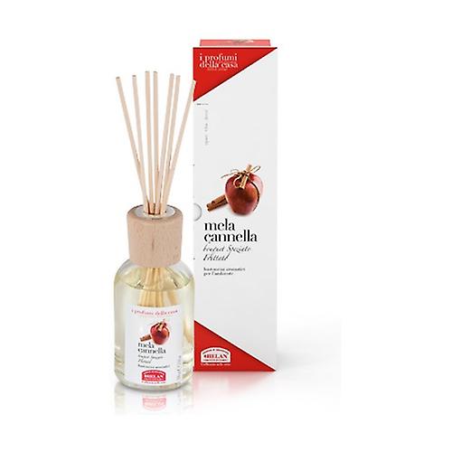 Profumi Casa Apple Cinnamon Aromatic Sticks 100 ml