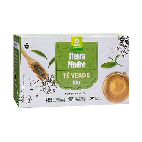 Organic Green Tea 40 g