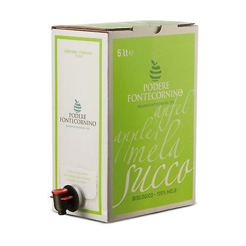 Apple juice 5 L (Apple)
