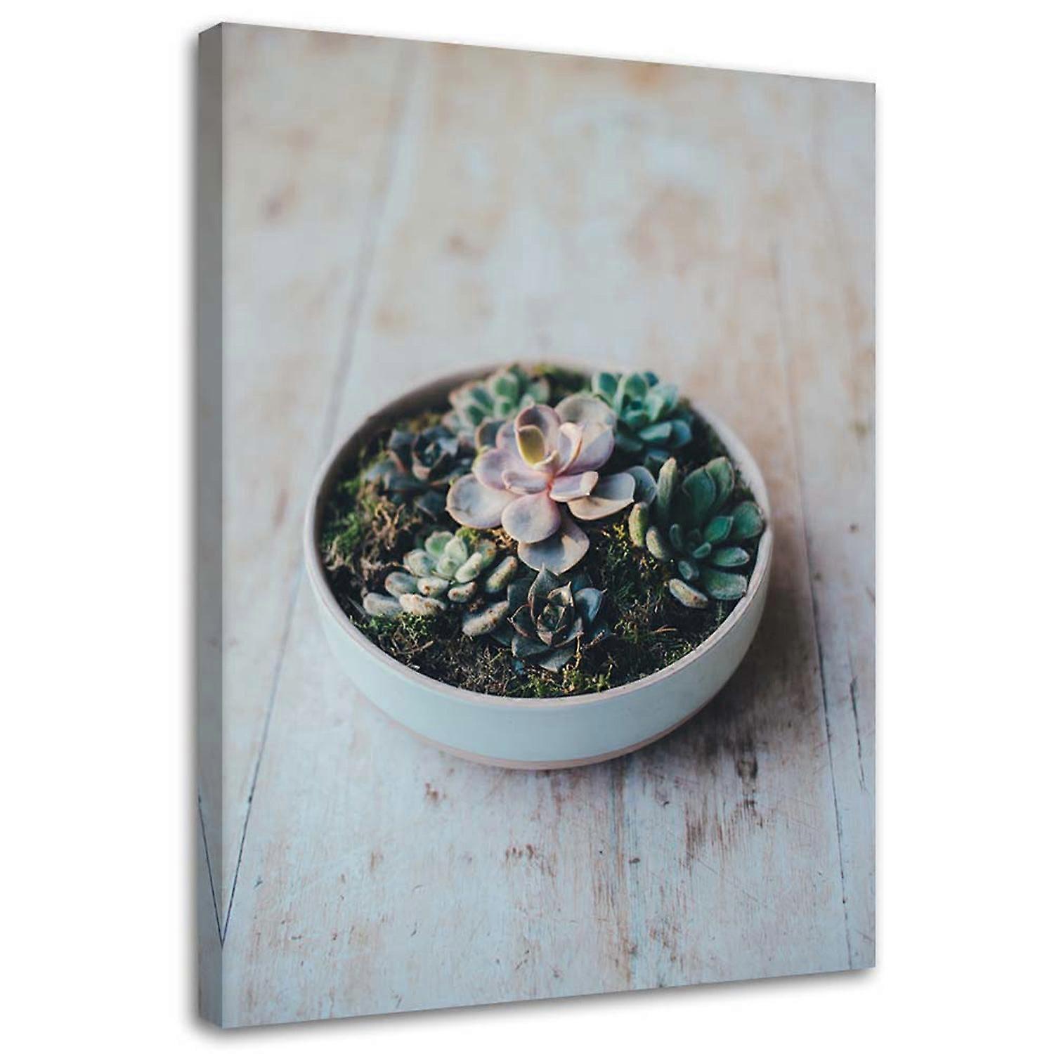 Lienzo, Plantas en maceta - 40x60