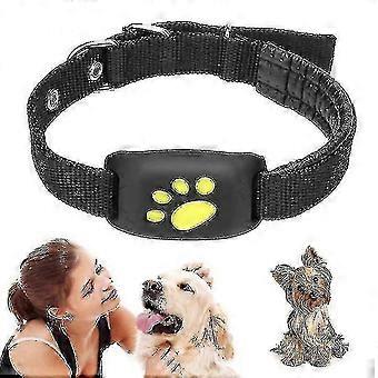 Gps Cat And Dog Collar Tracker