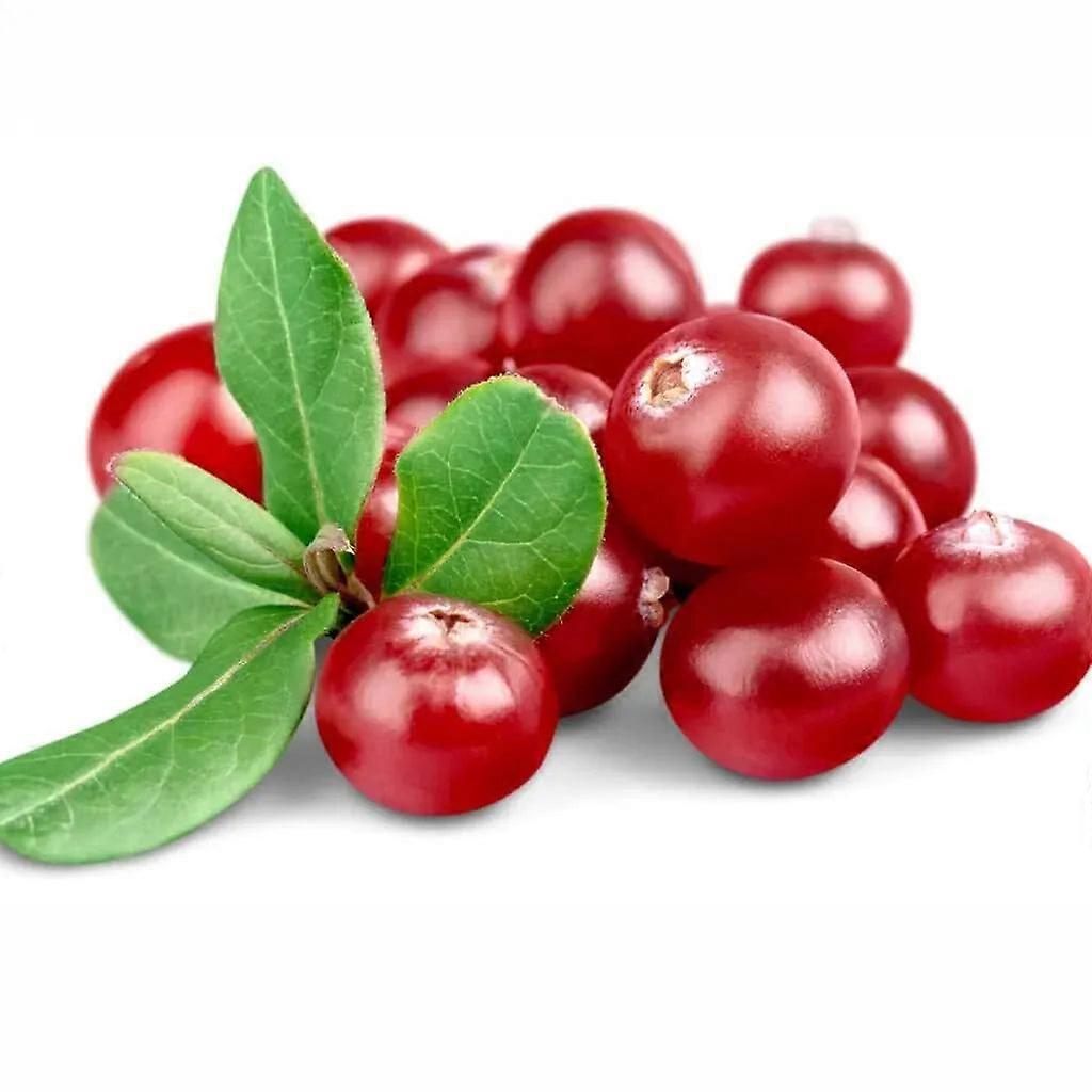 Cranberry Fragrance Oil